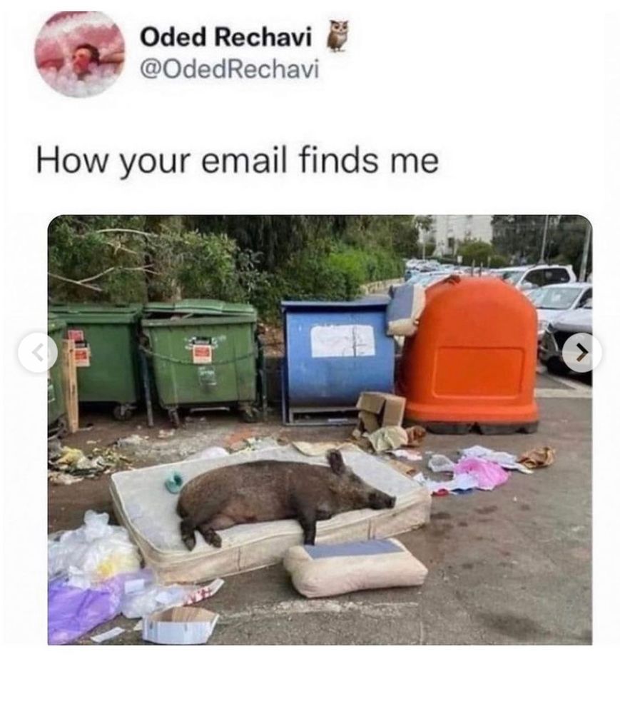 @OdedRechavi’s tweet: How your email finds me

Image of a pig? seemingly unconscious on what looks like a couch cushion flipped upside down in the middle of trash strewn about, next to a couple of dumpsters by some kind of parking lot