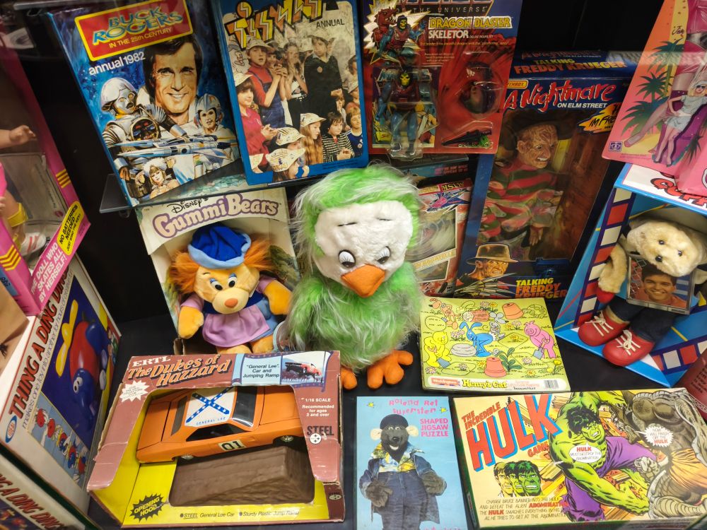 I wish I could fly bird