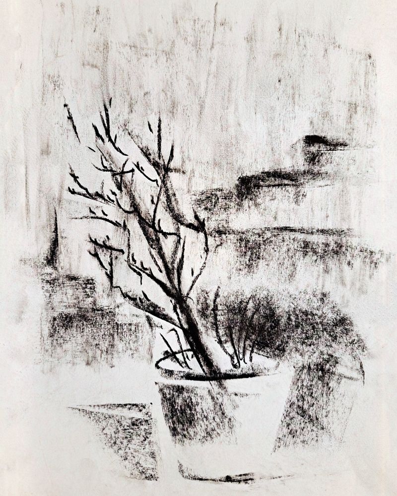 Charcoal drawing of a windswept outdoor potted plant in the rain, buildings faintly visible in the background.
