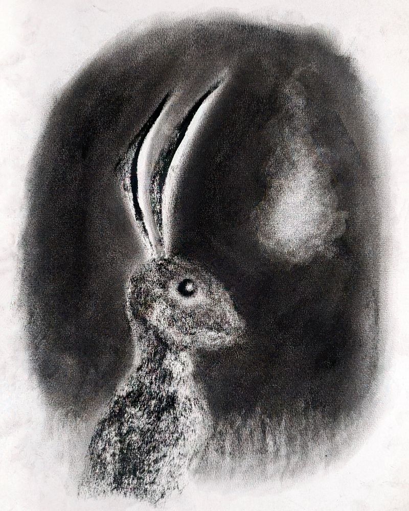 Charcoal drawing of a hare at night, a strange light in the background.