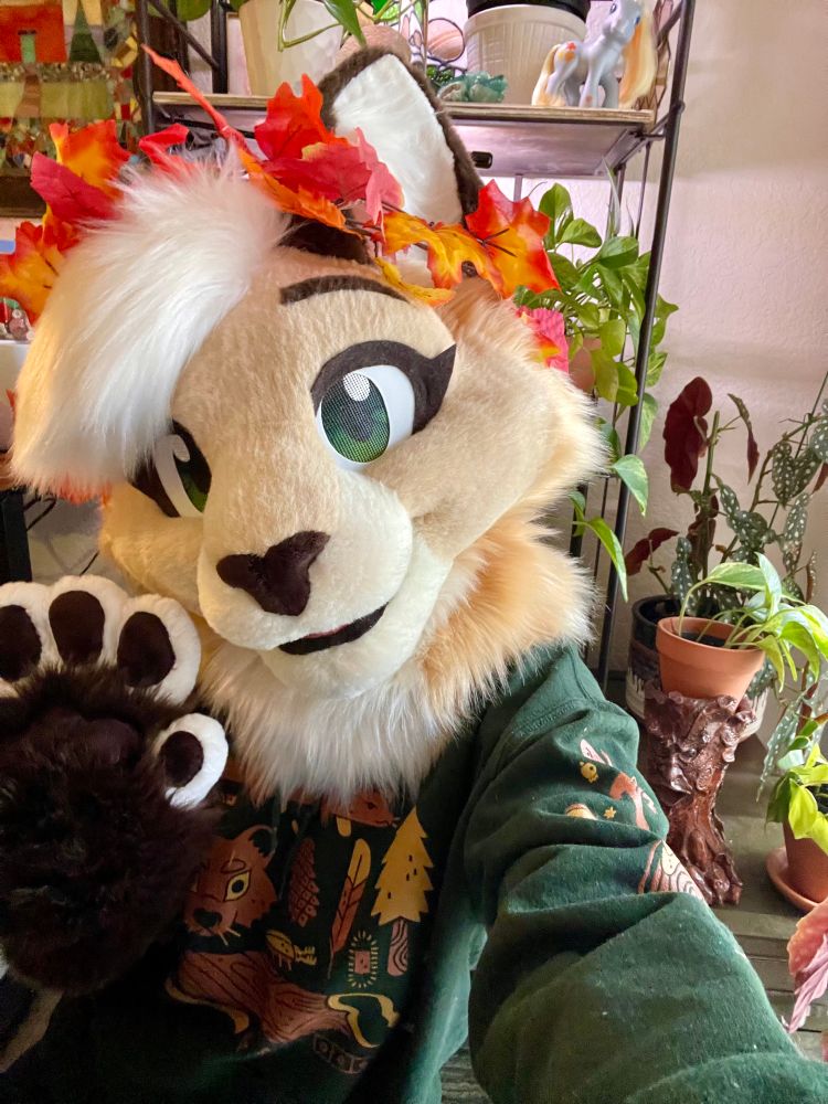 A selfie of me wearing a camp mustelid hoodie & a crown of fall leaves. 