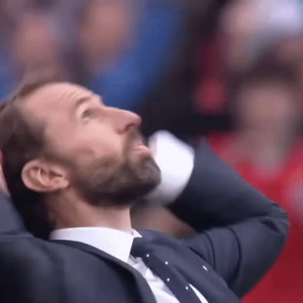 Gareth Southgate England Football GIF