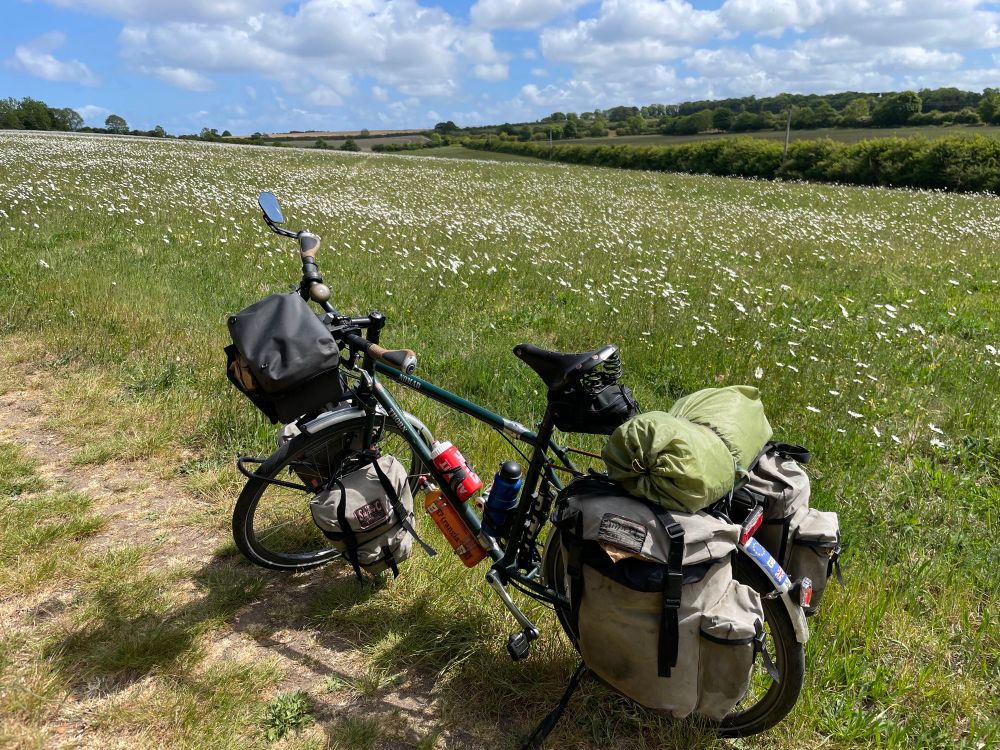 A heavily loaded bike in front of a field of daisies 
