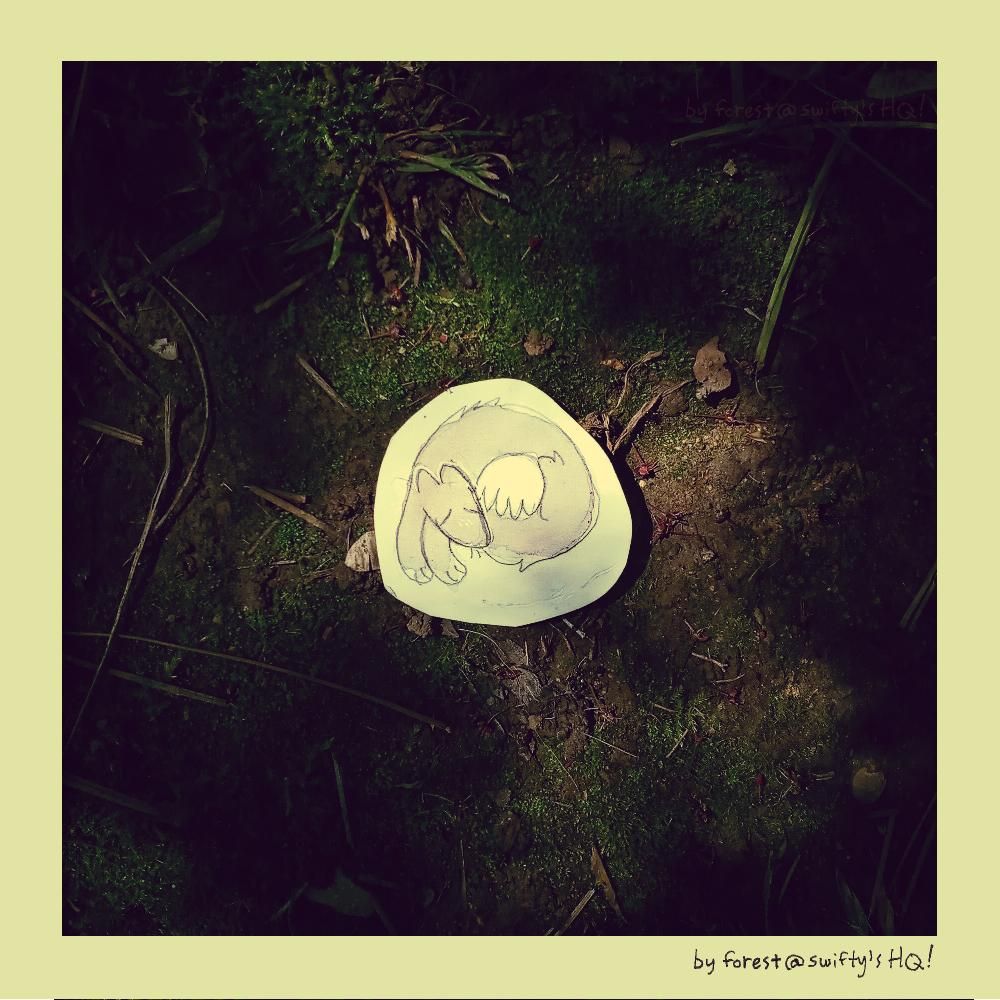 photo of a black fox watercolor cutout curled up on some moss. sunlight dapples the image. the border of the image has an off-white yellowed frame.