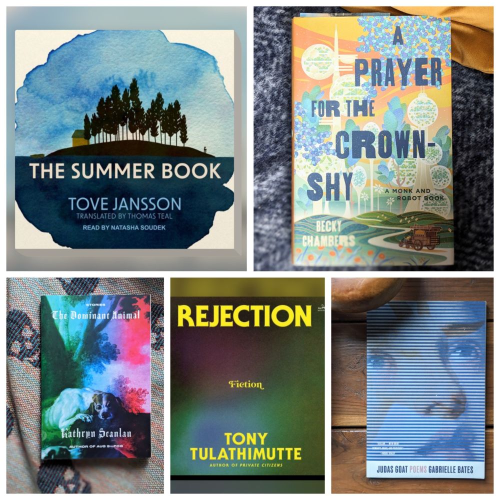 A grid of photos and screenshots of the book covers listed in the post 📚