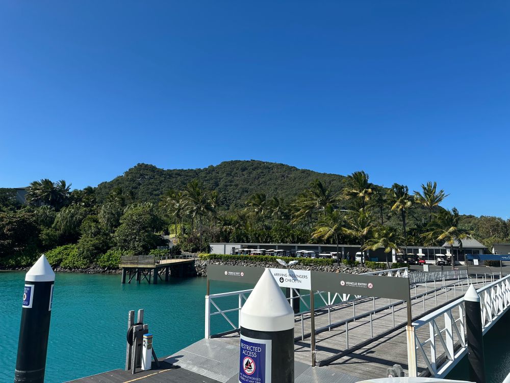 A photograph of the pier at Hamilton Island, Australia, with palm trees and hills in the background.