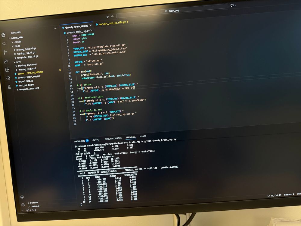 Picture of Python code running