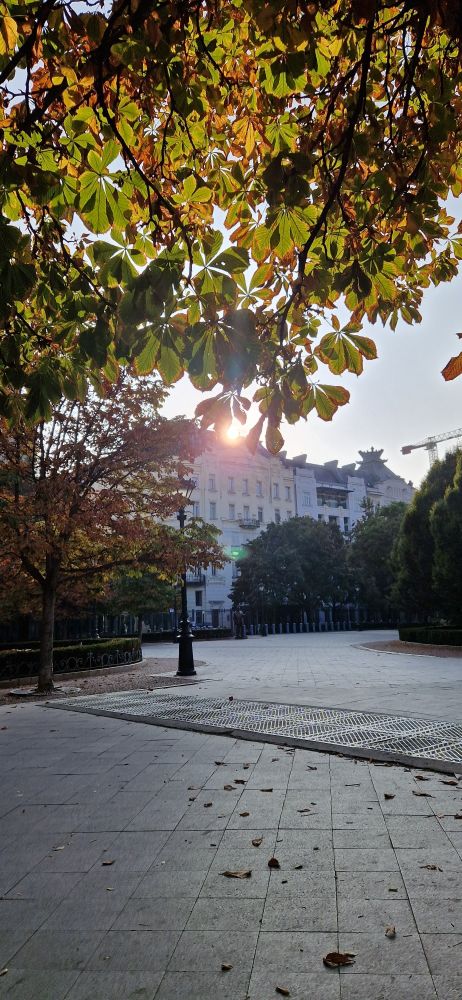 Budapest, Freiheitsplatz, im Moment kommt die Sonne hinter den Gebäuden hervor. 17 Grad.