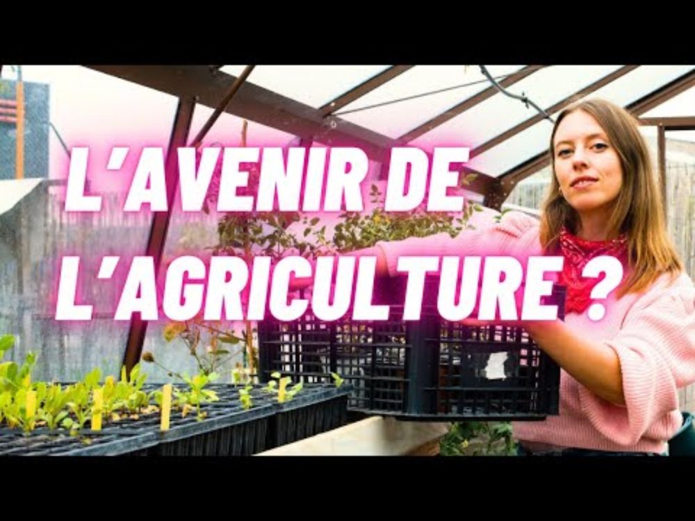 Les fermes collectives : l'avenir de l'agriculture en France