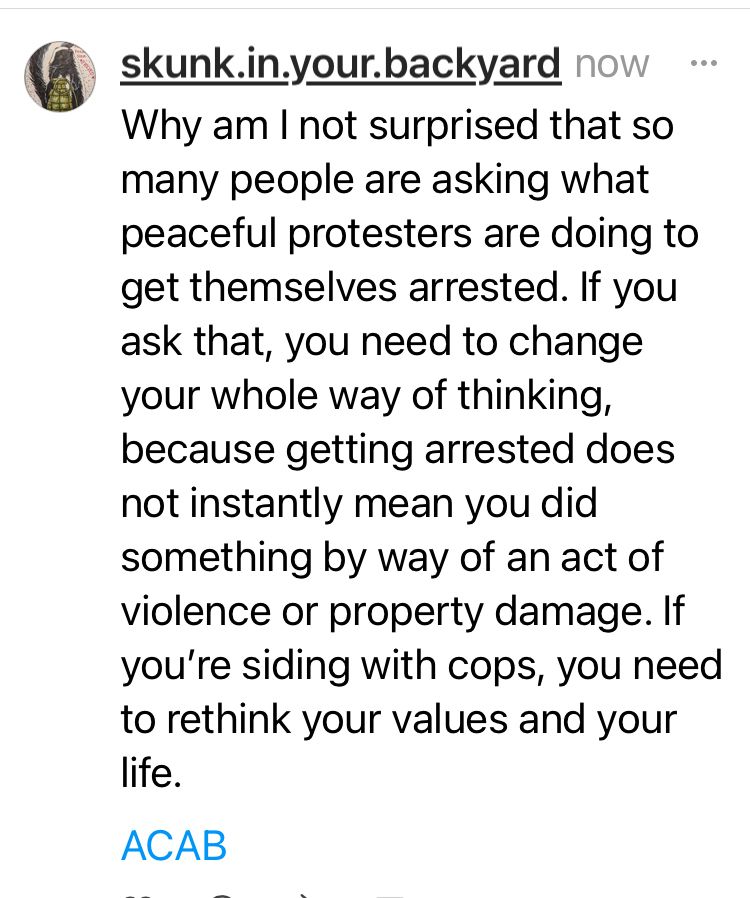 Why am I not surprised that so many people are asking what peaceful protesters are doing to get themselves arrested. If you ask that, you need to change your whole way of thinking, because getting arrested does not instantly mean you did something by way of an act of violence or property damage. If you’re siding with cops, you need to rethink your values and your life. 

ACAB