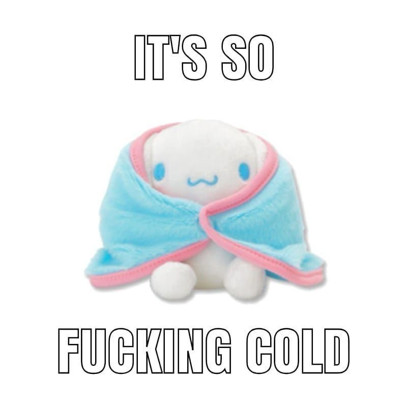 "IT'S SO
FUCKING COLD" with a picture of cinnamoroll wrapped in a blankie