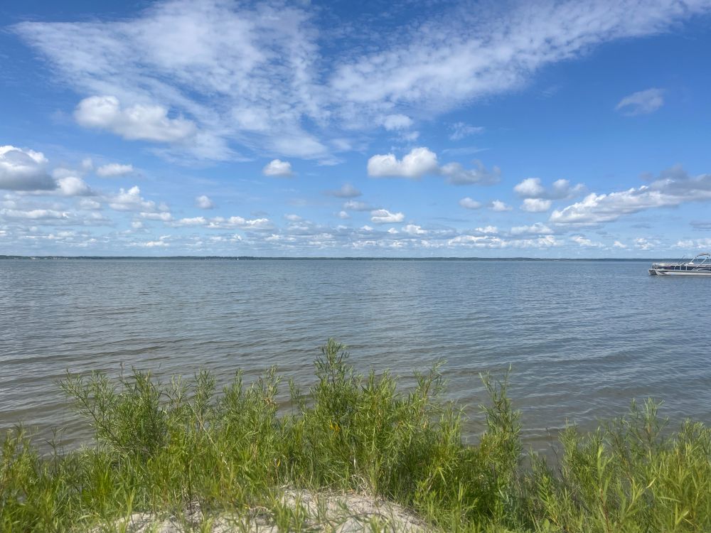 Picture of a lake taken from the shirt with a blue sky dotted with white fluffy clouds.