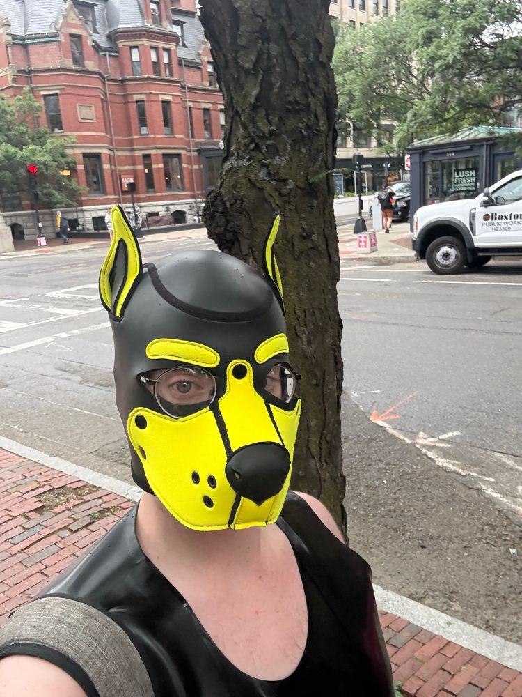 Person in a yellow and black pup hood. Wearing black glasses and a rubber top. There is a grey strap in the bottom left corner of the image hanging over the person’s shoulder. The person is standing in front of a tree on a brick sidewalk at an empty intersection.