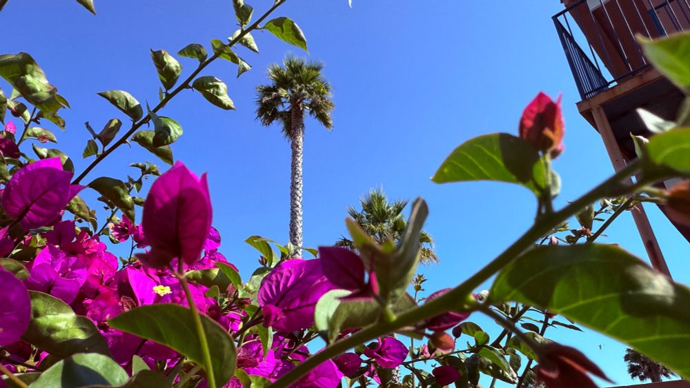 Capitola
