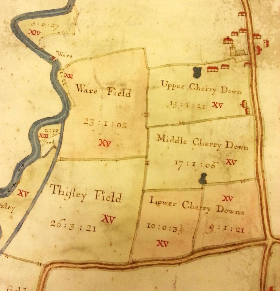 Section from Jared Hill's map of the Friday Hill Estate, Chingford, 1738. 