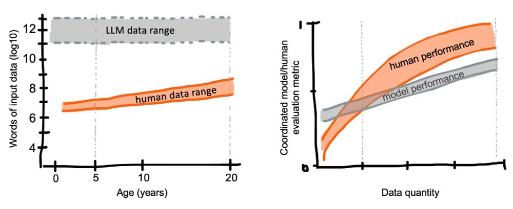 Figure 2. Data efficiency in human learning. (left) Order of magnitude of LLM vs. human training data, plotted by human age. Ranges are approximated from Frank (2023a). (right) A schematic depiction of evaluation scaling curves for human learners vs. models plotted by training data
quantity.