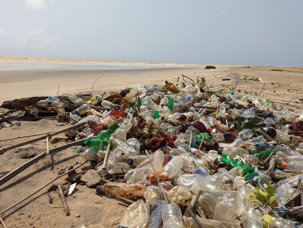 Plastic litter on a beach