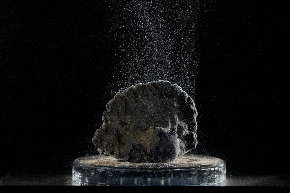 A deep-sea polymetallic nodule in a water tank