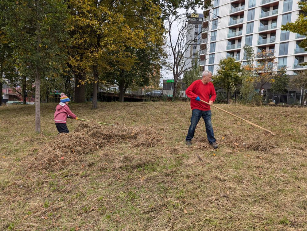Two people raking grass, one is a child 
