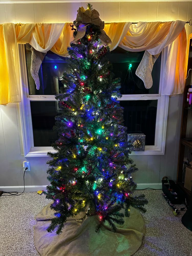 Christmas tree set up in front of a set of windows with colored lights 