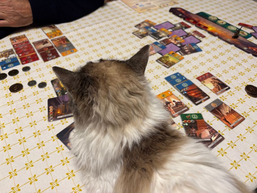 Chat jouant à 7 wonders duel jeu de plateau sur nappe Toile de Jouy