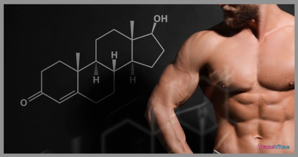 Starting Testosterone Therapy: What to Expect in the First Year