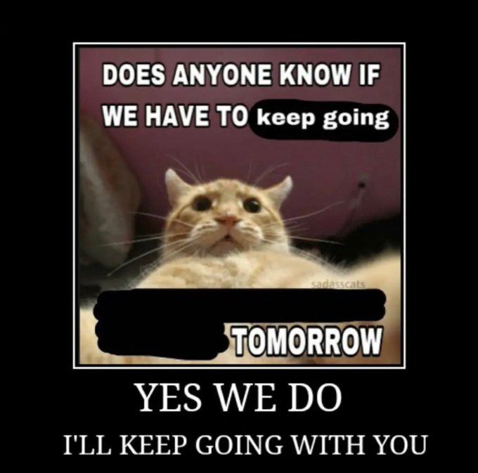 photo of a cat with many edited capitons saying "does anyone know if we have to keep going tomorrow", "yes we do. I'll keep going with you"