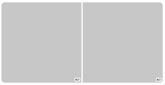 two identical grey boxes with tiny ALT labels, side by side