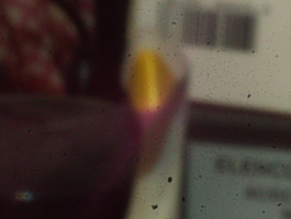 blurry image of a model of a white goose with a yellow bill. Behind it is a white box with a barcode on top of a piece of equipment that the name ELENCO can sort-of be made out on