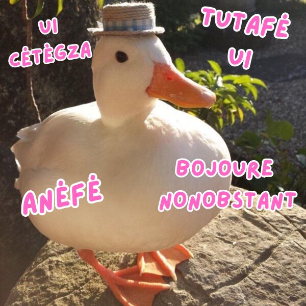 Le Canare au petit chapeau qui dit : 
UI CÉTÉGZA
ANÉFÉ
TUTAFÉ UI
BOJOURE NONOBSTANT