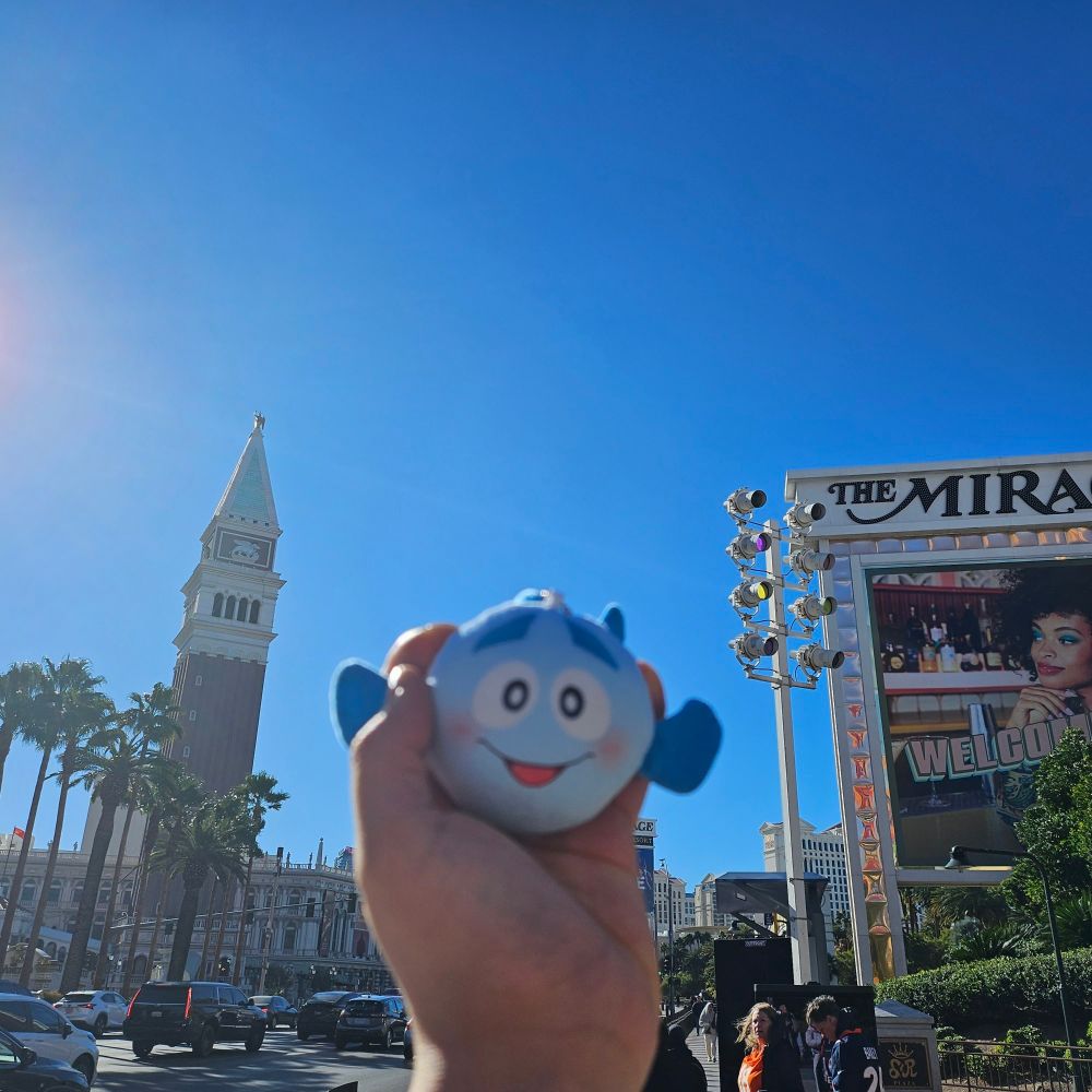 a sardinevish plush held towards the sky