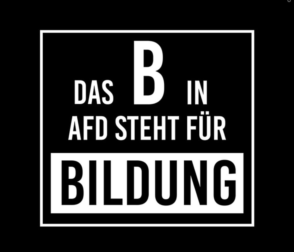 Das B in AFD steht für Bildung 
