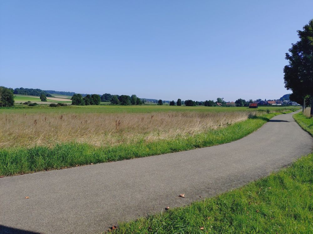 Leere schmale Landstraße, blauer Himmel, Felder und weiter freier Blick 