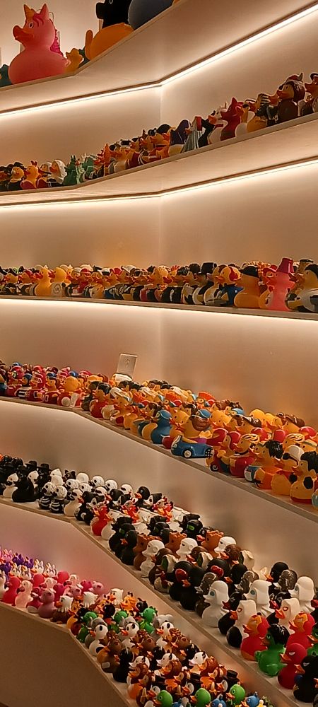 Laden mit Regalen voller Plastikenten.