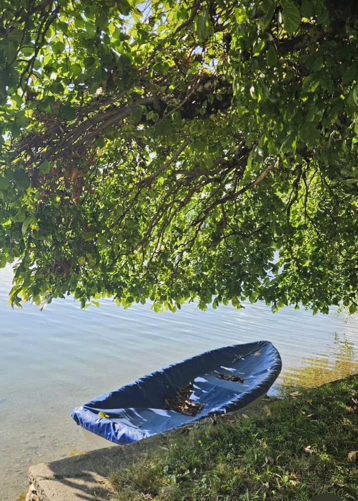 Am Ufer eines Sees liegt ein mit einer blauen Plane überdecktes kleines Boot. Darüber hängen stark belaubte Äste eines Baumes. 