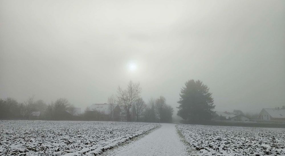 In der Mitte des Bildes ein breiter Weg. Links und rechts Felder die mit Rauhreif bedeckt sind. Dahinter kahle Bäume, eine große Tanne und Häuser. Hinter einer Nebelwand kann man blass die Sonne durchscheinen sehen. 