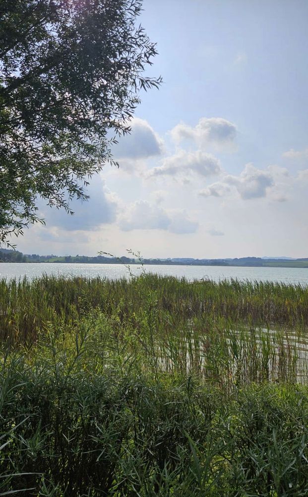 Am Ufer eines Sees. Darüber leicht bewölkter Himmel. 