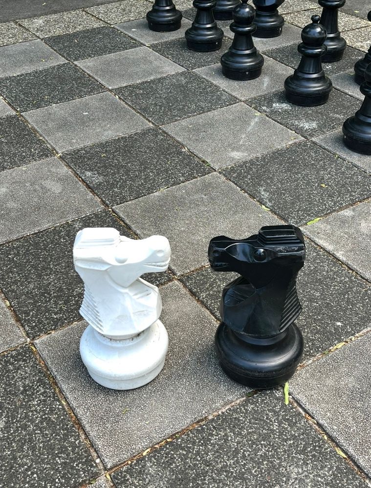 Auf einem Boden mit karierten Pflastersteinen stehen sich zwei Schachfiguren (Springer) kampfbereit gegenüber. 