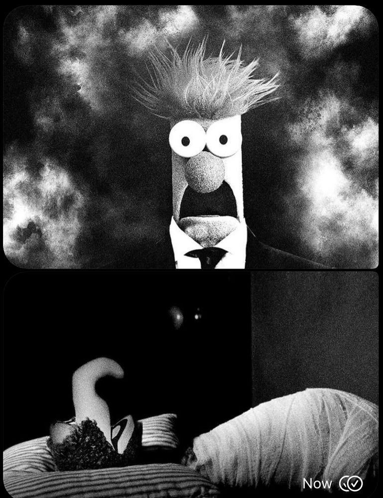 Beaker and gonzo as the main guy and baby in the David Lynch movie Eraserhead