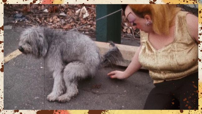 Divine eating dog shit, Pink Flamingos, 1972