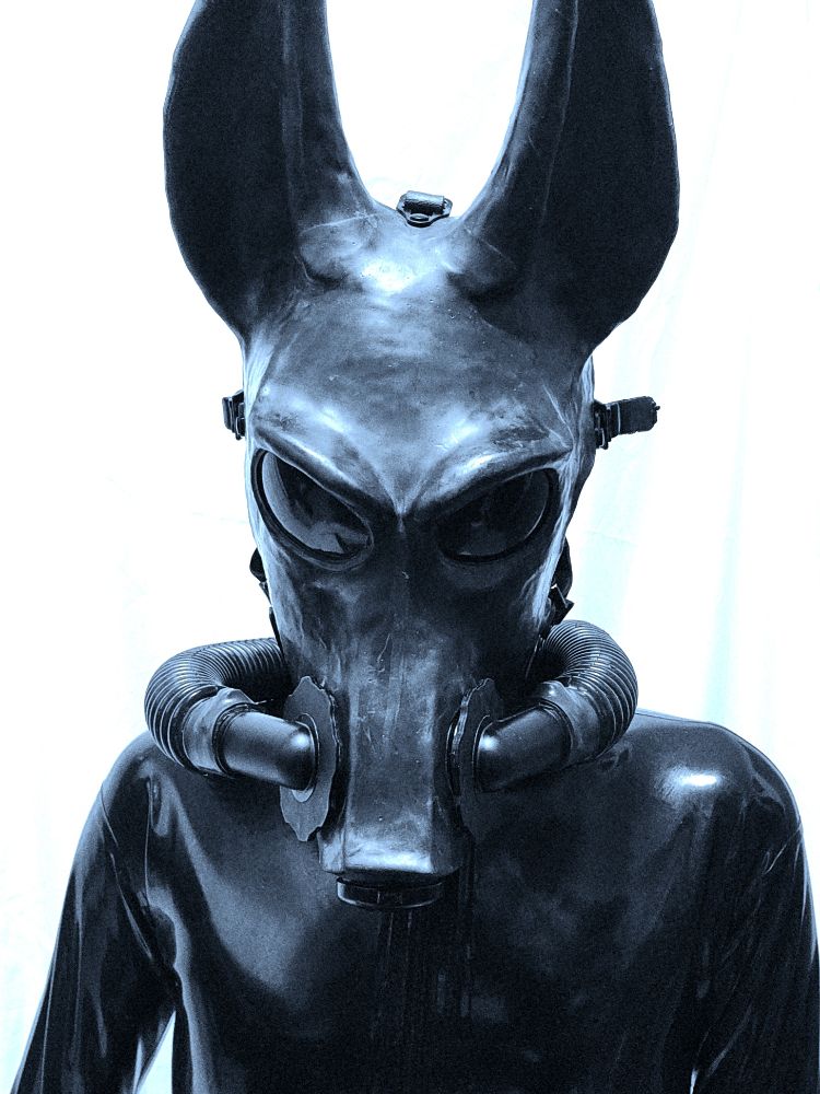 Rubber jackal with gas mask hoses and latex catsuit.