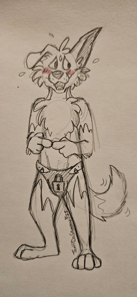 A pencil sketch of a toony anthro border collie looking embarrassed while wearing a chastity belt. Their tail wags softly behind them, indicating they secretly enjoy the embarrassment, and they are shyly touching their pointer fingers together in front of them. The only color in the image is a touch of pink marker on the dog's blushing cheeks.