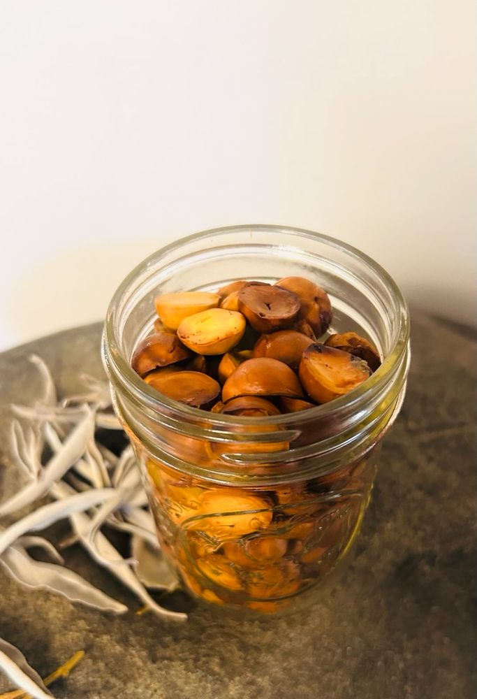 photo of roasted bay nuts in a glass jar with white sage in the background