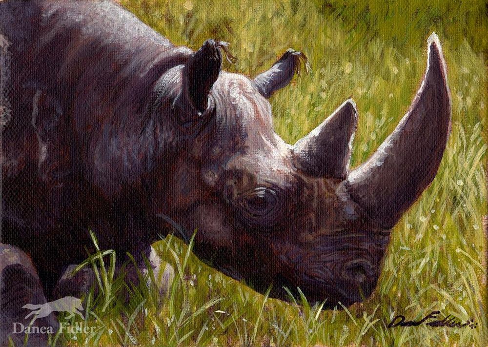 Bust painting in full color of a black rhino laying down and sleeping in some tall green grass. Rhino is in a side view profile facing toward the right. Rhino is painted in deep purples against the green grass background. 