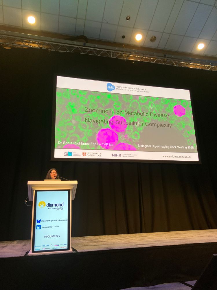 Sonia Rodriguez Fernandez from the University of Cambridge talking at the 2025 BCI user meeting (eBIC and B24) at Diamond Light Source