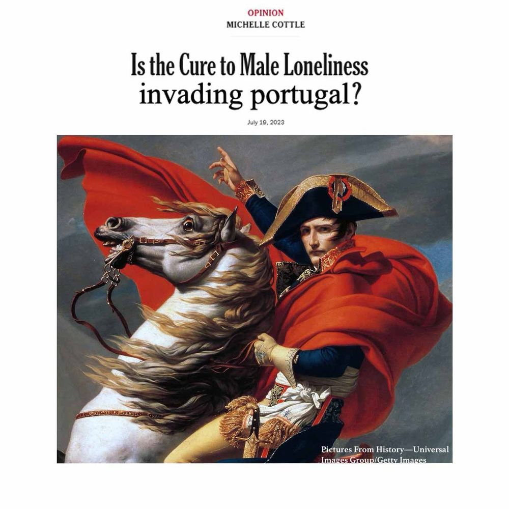 Meme that says “is the cure to male loneliness, invading Portugal?“ With a painting of Napoleon riding a horse.
