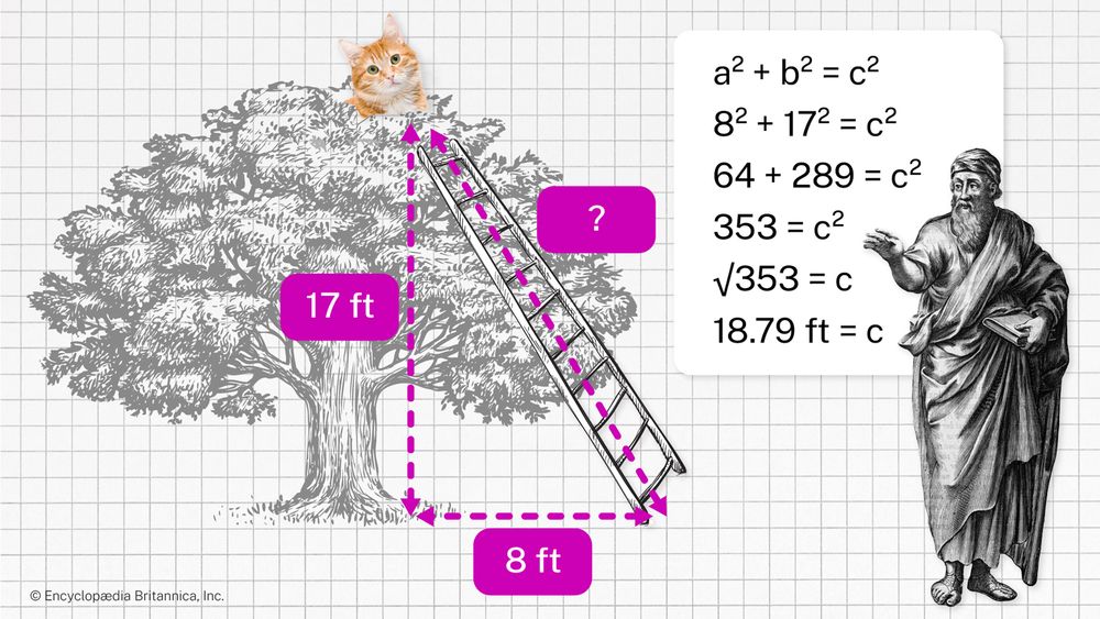 Image of a cat in a tree and a person using the Pythagorean Theorem to calculate its height.