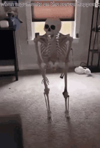 a skeleton is standing in front of a window with a caption that says when arguments on the server happens