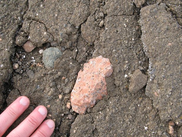A salmon-pink fragment of rock embedded within a brownish rock that has a rough texture. Three fingers of a person’s hand are visible in the bottom left corner, and show the scale: the rock fragment would fit in their hand. Photo credit: Joanne Johnson (BAS)
