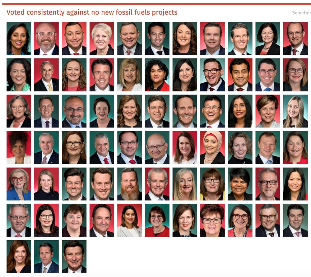 Screenshot from the They Vote For You website (by OpenAustralian Foundation) showing the 69 Labor and Coalition politicians who have Voted Consistently AGAINST No New Fossil Fuels

Includes so-called pro-environment Labor MPs like Josh Burns, Josh Wilson, Sally Sitou, Alicia Payne, Kate Thwaites etc